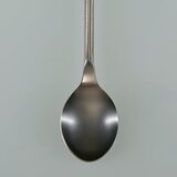 Stainless steel chemical spoon with round handle 