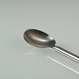 Stainless steel chemical spoon with round handle 