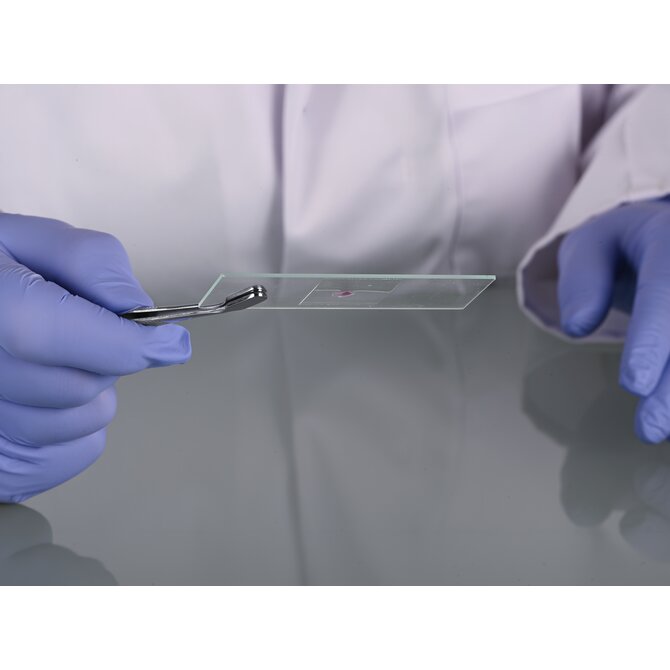 Stainless steel cover glass tweezers