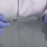 Stainless steel cover glass tweezers