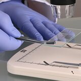 Stainless steel cover glass tweezers