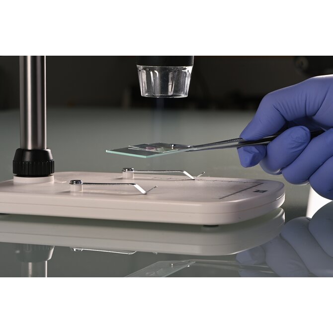 Stainless steel cover glass tweezers