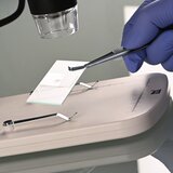 Stainless steel cover glass tweezers