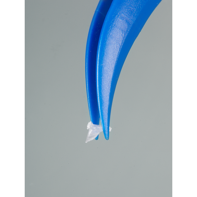 Single-use tweezers, blue, pointed/angled