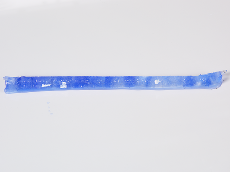 Ice borer