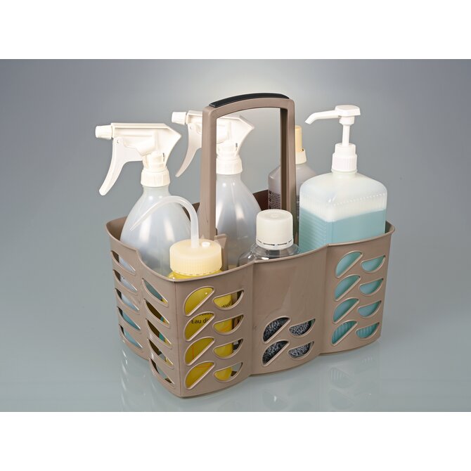Bottle carrier