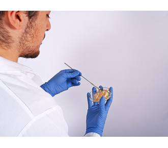 Micro powder spatula, angular/semi-cup-shaped, made of stainless steel