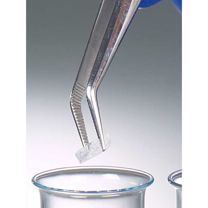 Forceps, stainless steel, sharp, bent form