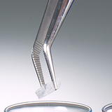 Forceps, stainless steel, sharp, bent form