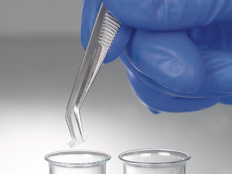 Forceps, stainless steel, sharp, bent form