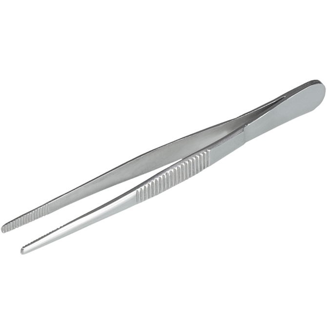 Forceps, stainless steel, blunt, straight