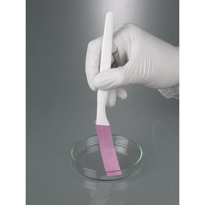 Forceps, disposable, broad tip, sterilised