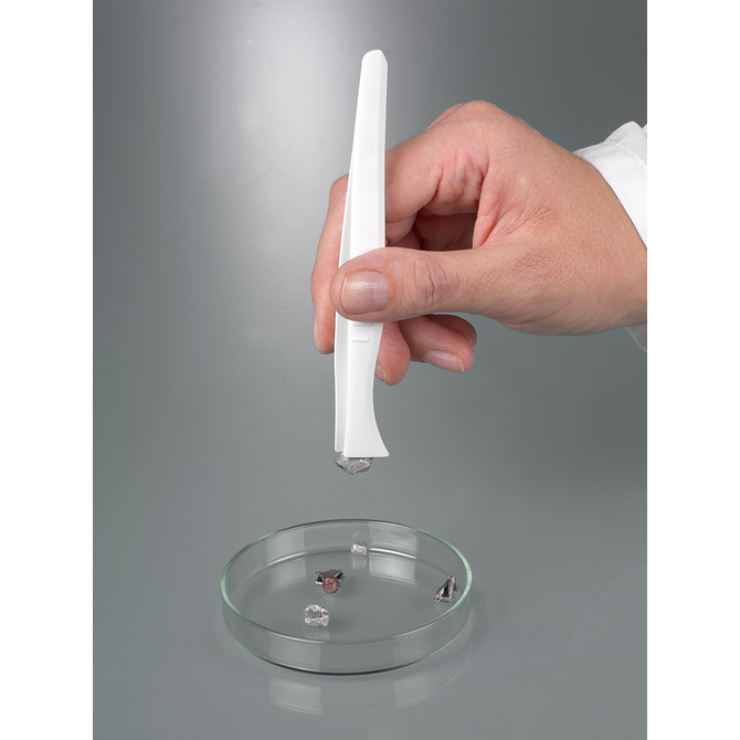 Forceps, disposable, broad tip, sterilised