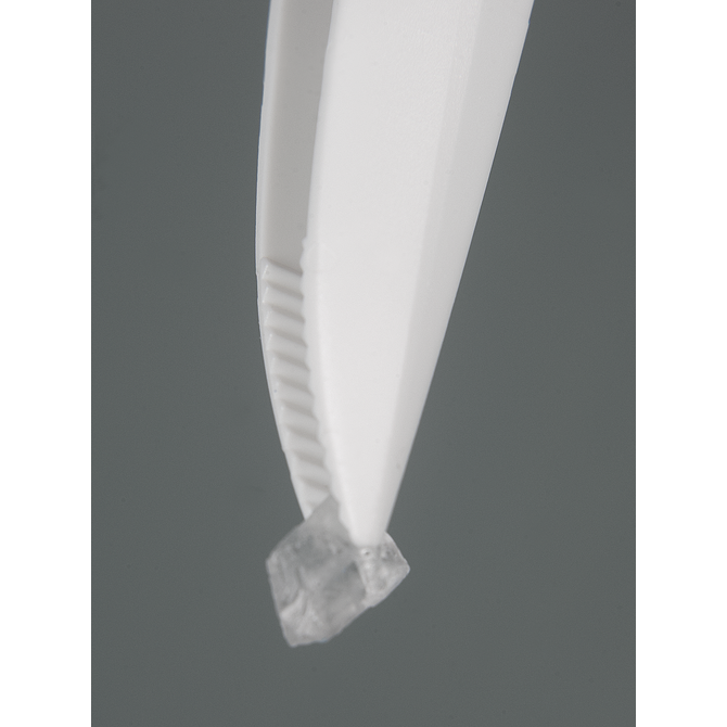 Forceps, disposable, pointed