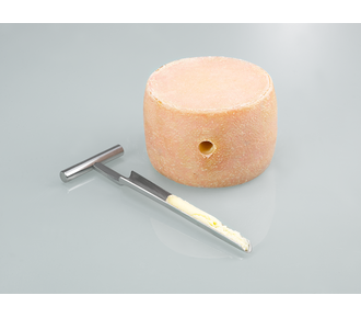 QualiRod conical