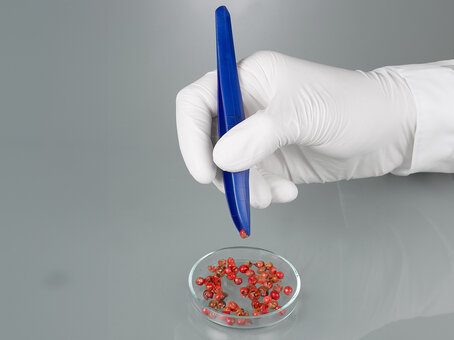 Detectable forceps, sterile, pointed