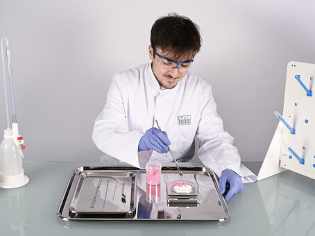 Stainless steel tray