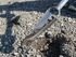 Mole & drill bit coarse sand, use
